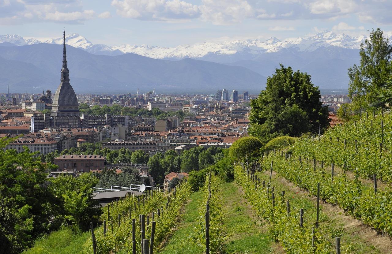 ato2piemonte.it